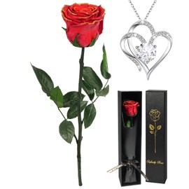Yamonic Gifts for Women Christmas, Infinity Rose with Stem, Eternal Rose with Heart Necklace Gifts for Mum, Real Rose with Chain for Women, Preserved Flower for Valentine's Day/Mother's Day