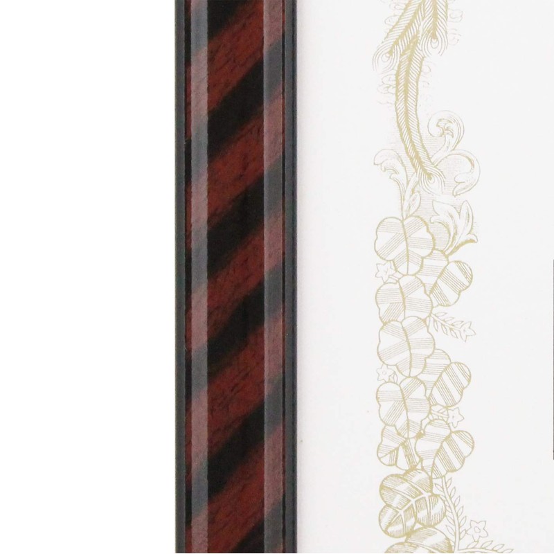 Iwata PSKR-PET-SP-B5 PET B5 Picture Frame, Award Plaque, Gold Rack,