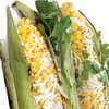 Urban Accents Corn on the Cob Vegetable Seasoning, Chile Lime