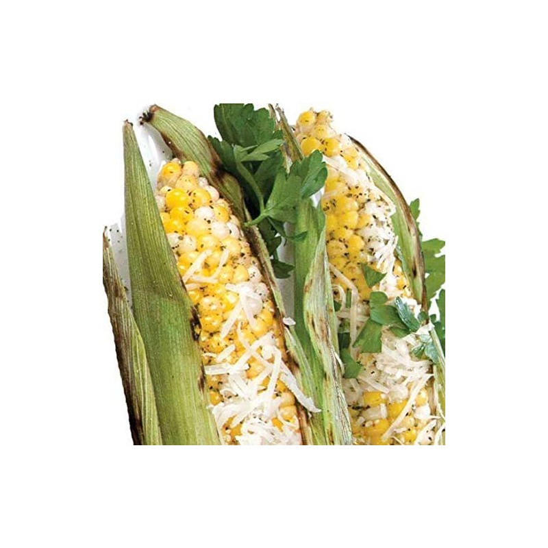 Urban Accents Corn on the Cob Vegetable Seasoning, Chile Lime