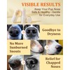 GJYC PET Dog Nose Protector Balm – Moisturizing Sun Protection