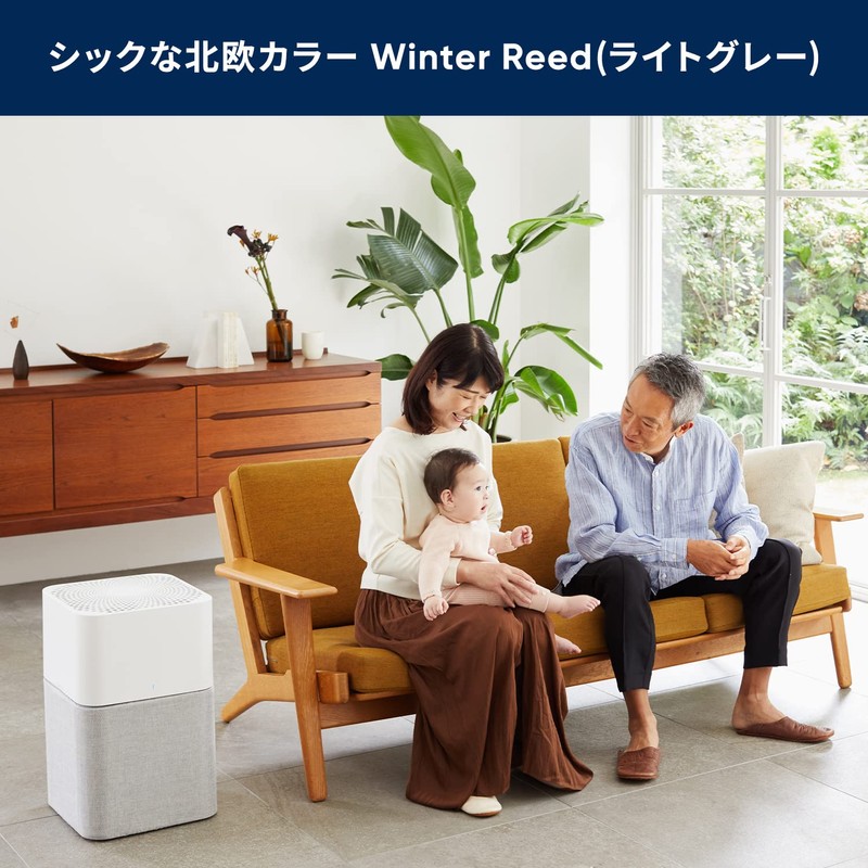 Blue Air 106503 Air Purifier, Blue 3610 Pre Filter, Winter