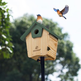 Kingsyard Blue Bird House for Outside - Cedar Wood Nesting Box with Clear View Panel & Predator Guard for Bluebird Wren Swallow Cardinal Finch, Green