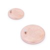 Brudazon 30 Mini Disc Magnets Set 2 x 1 mm