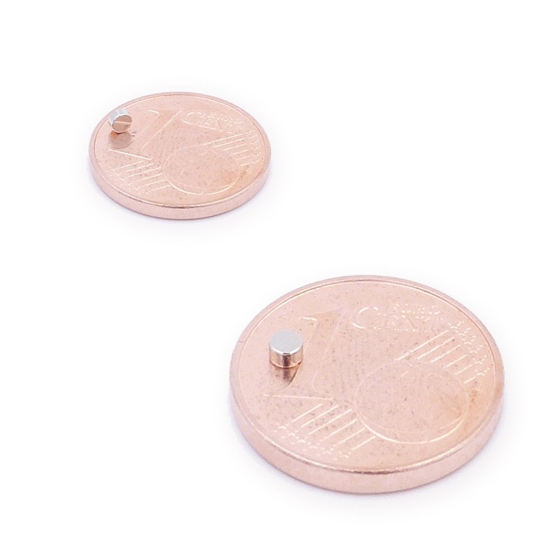 Brudazon 30 Mini Disc Magnets Set 2 x 1 mm