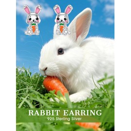 Flpruy Cute Animal Stud Earrings 925 Sterling Silver, Animal Earrings Girls Jewellery Children's Stud Earrings, Animal Gift for Girls Women Ladies, Sterling Silver, No Gemstone