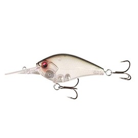 Cliff Banger 15ft Greenie