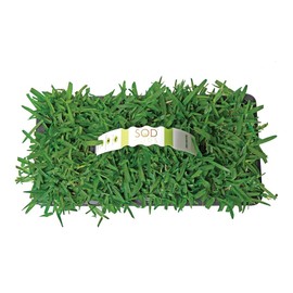 SodPods® St. Augustine Palmetto Grass Plugs for Lawn Repair, 3" x 3" Each (64-Count) – Cannot Ship to California/Arizona