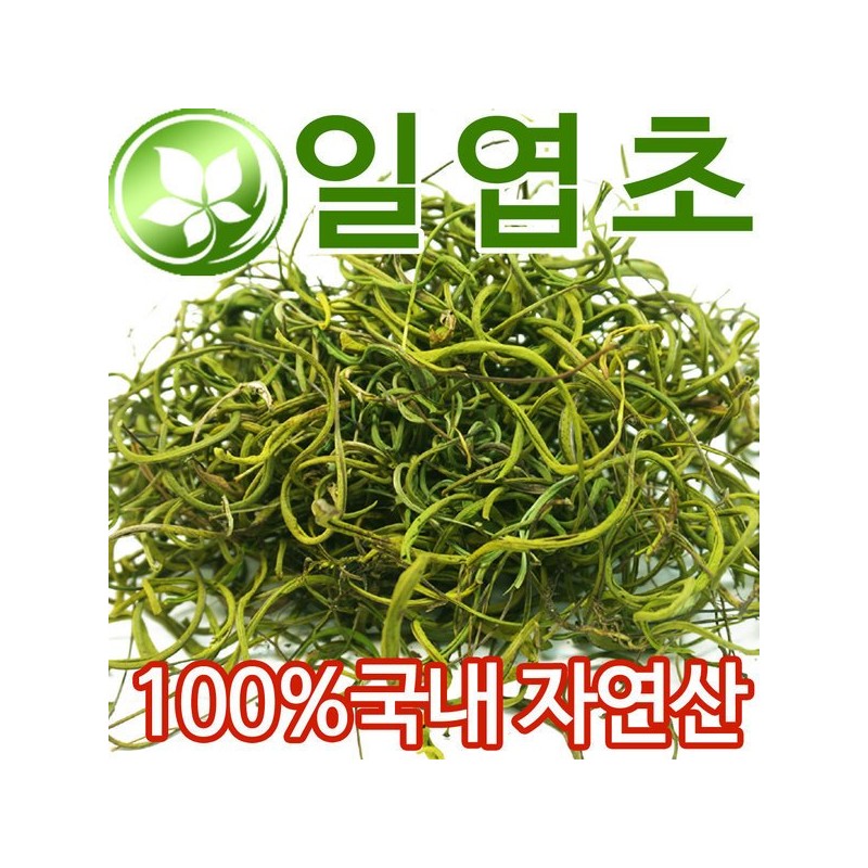 국내자연산 일엽초 10g 말린 일엽초 Domestic Wild Dried One Leaf