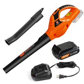 Cordless Leaf Blower,20V Handheld Electric Leaf Blowers with 2.0Ah Battery & Fast Charger, 2 Speed Mode, Lightweight Battery Powered Leaf Blowers for Patio, Yard, Sidewalk,Small Leaf Blowers