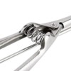 Ice Cream Spoons 1x 4/5/6cm Ice Cream Spoon Stainless Steel