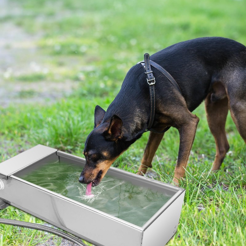Stainless Steel Cattle Drinking Bowl, Horse Cattle Drinker, Automatic Drinking