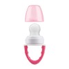 Dr. Brown's Designed to Nourish, Fresh Firsts Silicone Feeder, Pink,