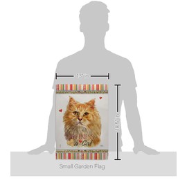 Breeze Decor Ginger Long Hair Happiness Garden Flag Set Wall Holder Cat Kitten Meow Spoiled Paw Fur Pet Nature Farm Animal Creature House Banner Small Yard Gift Double-Sided, Made in USA