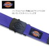 Dickies Nylon GI Belt (Purple), purple