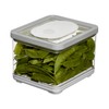 iDesign Small Fridge Produce Bin with Removable Drainage Tray and