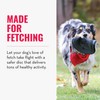 KONG Extreme Flyer - Dog Toy Supports Healthy Exercise -