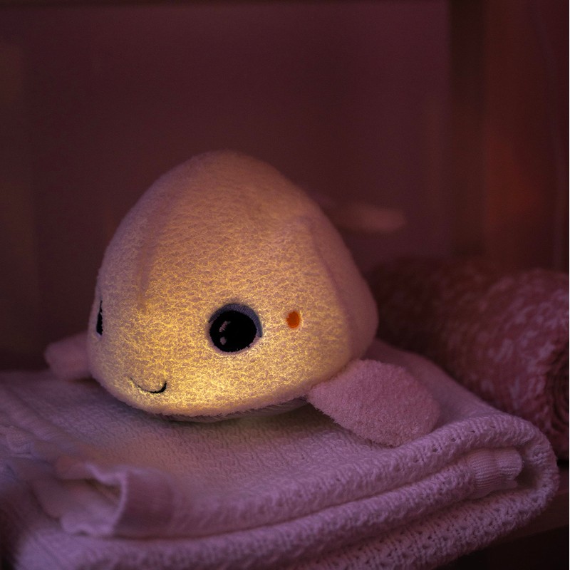 Pabobo Béluga Plush Sleeping Night Light, Multi-Colour and Lullaby and
