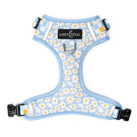 Lucy & Co. The Simply Splendid No-Pull Dog Harness - Size Medium - Vest to Stop Pulling & Walk Easy - Comfortable Leash Training Product w/Adjustable Chest & Neck Straps