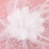 CCAIPU Fascinators Hat for Women, Flower Feathers Mesh Hats Tea