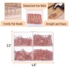 Mr. Pen- Nail Assortment Kit, 600 Pcs, 4 Sizes, Rose