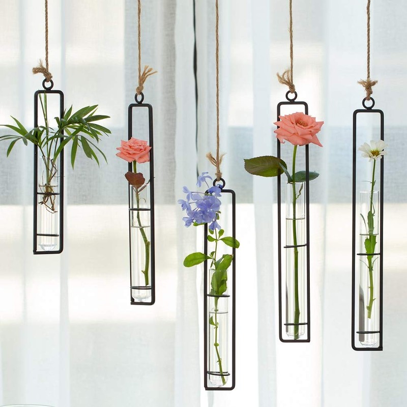 Sziqiqi Hanging Clear Glass Propagation Tube Vase for Cuttings, Hydroponic