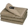 Senshu Towel Plus Face Towel, Antibacterial, Deodorizing, Set of 3,