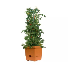 Hydrofarm Self-watering planter Tower Tomato tree Expands to over 3-feet tall