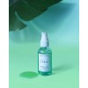 Oasis Earth Harbor OASIS Deep Pore Gel Cleanser, Oil-Free Non-Stripping