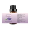 Sedbuwza Lavender Eucalyptus Essential Oil Set for Aromatherapy