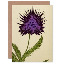 Artery8 Scottish Thistle for Him or Her Man Woman Birthday Thank You Congratulations Blank Art Greeting Card