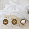 BDEUS White Ruffle Comforter Set Full Size, 3 Pieces Lightweight