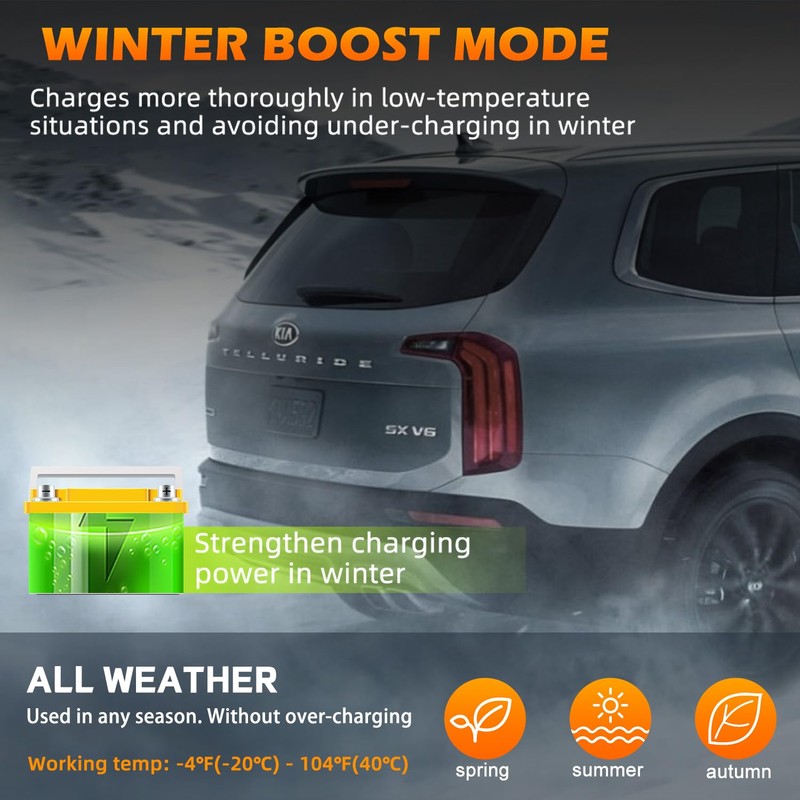 Car Battery Charger 12V 24V