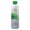 Leisure Time 45450A Jet Clean Spa Cleaner for Spas and