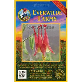 Everwilde Farms - 300 Wild Columbine Native Wildflower Seeds - Gold Vault Jumbo Seed Packet
