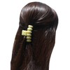 Dz Pk Mid Size Celluloid Plastic Hair Claw for Medium