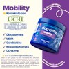 Dogelthy Mobility Suplemento Condroprotector en Polvo para Perro