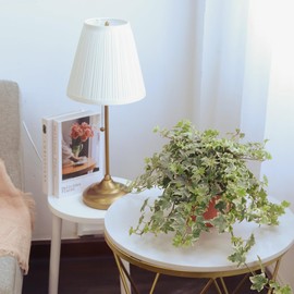 Golden English Ivy - Hedera Helix Kolibri (6" Minimalist Pot) - Eye-catching, Air-Purifying, Easy to Grow Houseplant - Best Trailing Houseplant for Home and Office Decoration