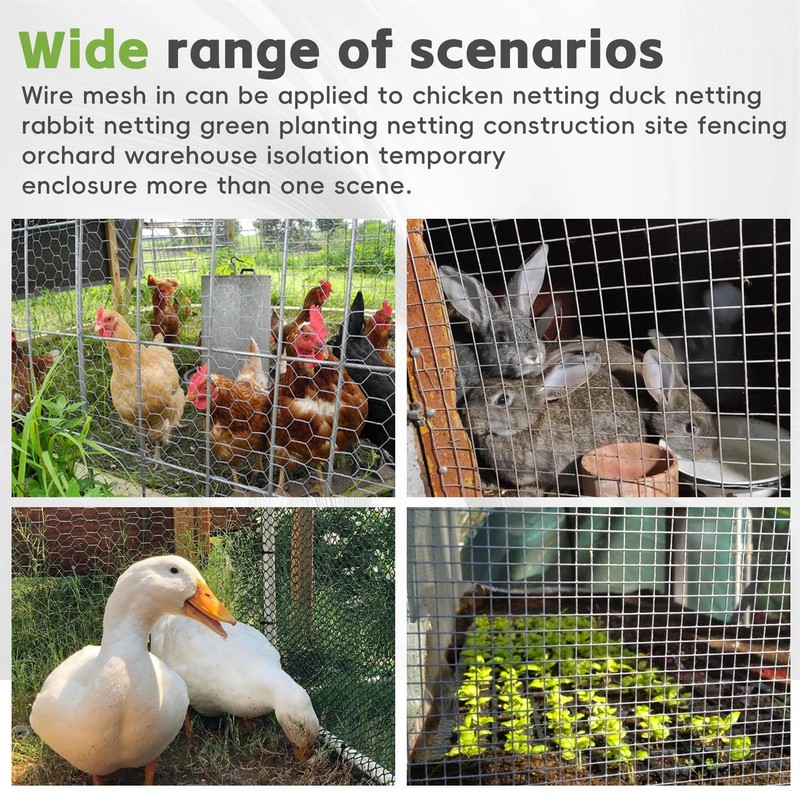 HOSTIC 4FTx150FT Chicken Wire Netting 2IN Mesh Galvanized Wire Hexagonal