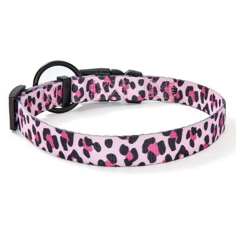Mile High Life | Dog Collar | Cute Patterns |