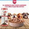 VORY Aderezo para Croquetas de Perro - Vitaminas y Probióticos