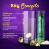 Digestion Plus Effervescent|with Artichoke Extract and Choline|20 Tablets per Tube|