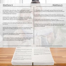 Holy Bible Pillow，Christian Gifts，Bible Plush，Cozy Faith Bible Pillow, Decoration for Bedrooms, Living Rooms (Pink)