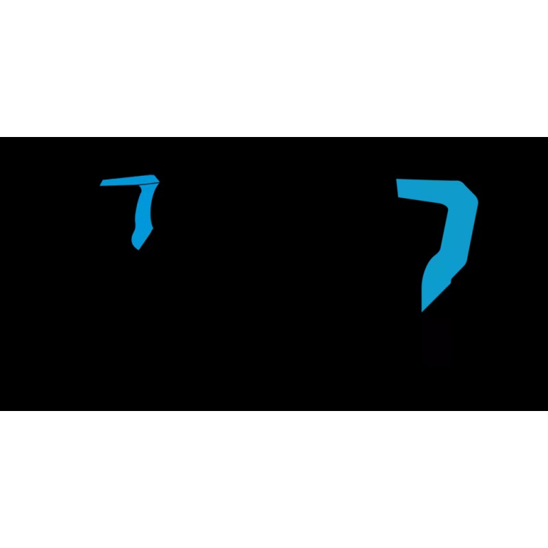 Oregon 3 Oregon 12" Chamfer Chisel Chain for Echo PPT-2100,