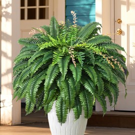 FAJUNZH 128 Leaves Fake Ferns, Large Artificial Boston Fern, Faux Fern Plants for Home, Office, Garden Indoor Outdoor Decoration(49 inch,1pack)