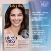Clairol Nice'n Easy Permanent Hair Dye, 3 Brown Black Hair