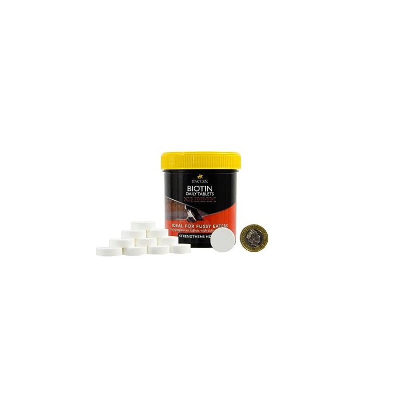Lincoln tablets Great for Maintaining Hooves - white, one size