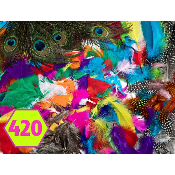 edukit Feathers Multi Pack, 420 Pieces; Quill, Goose, Peacock, Pheasant