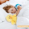 SuzziPals Heatable & Coolable Little Chick Stuffed Animals, Cute Heating
