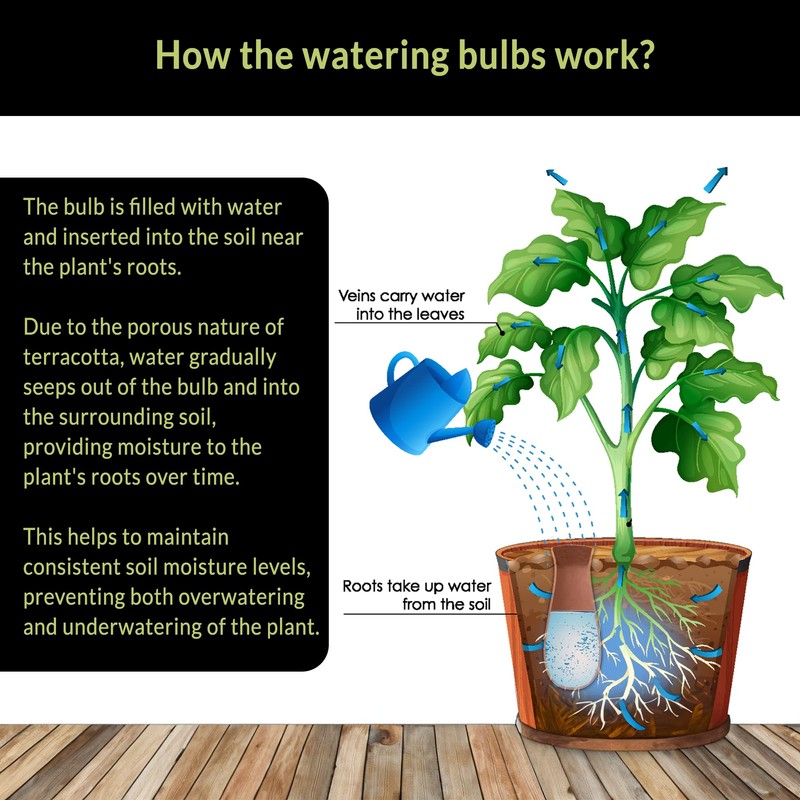 SmartiLiving Ollas (Set of 4) | 12oz Terracotta Plant Watering